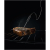 AEG BPK742220M Backofen 60 cm breit Pyroluxe-Plus, SenseCook