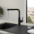 Villeroy & Boch 92850006 Subway Style Shower matt Black Schlauchbrause